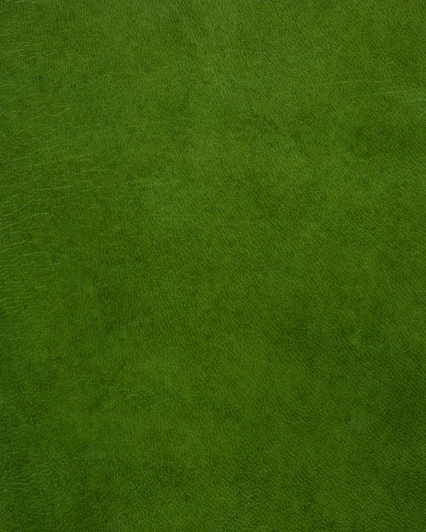 Forte - Grass