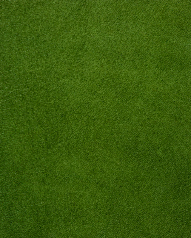 Forte - Grass