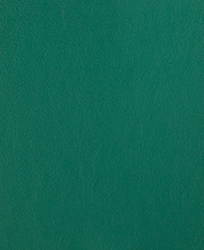 Lacar Napa - Foresta