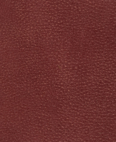 Arizona - Cappuccino