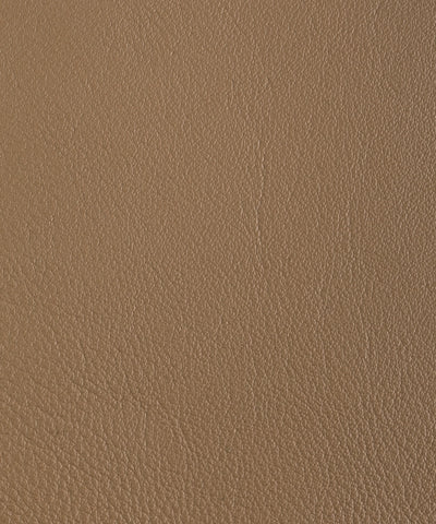 Lacar Bold - Antelope