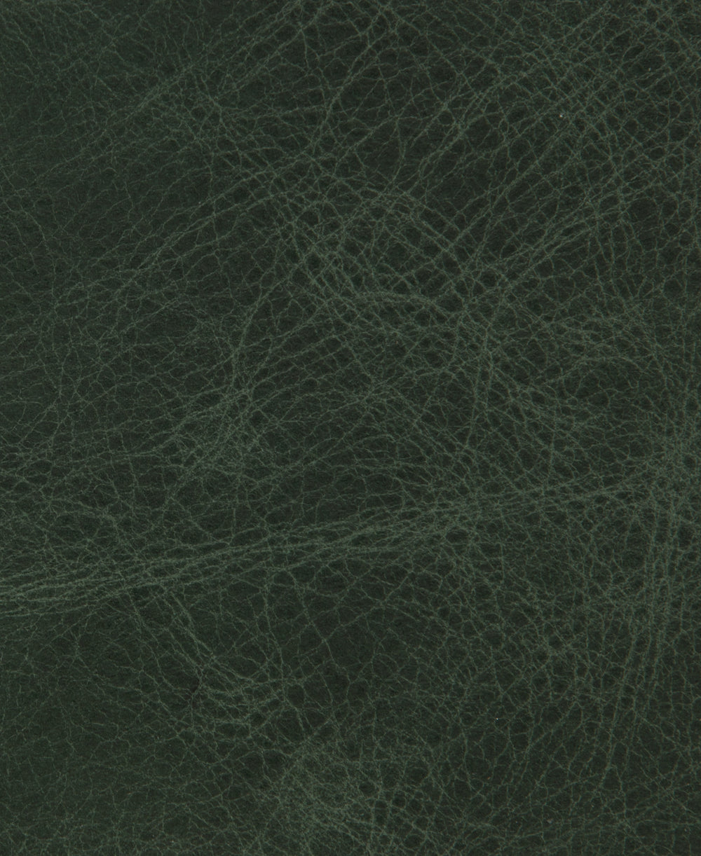 Santa Fe - Thyme