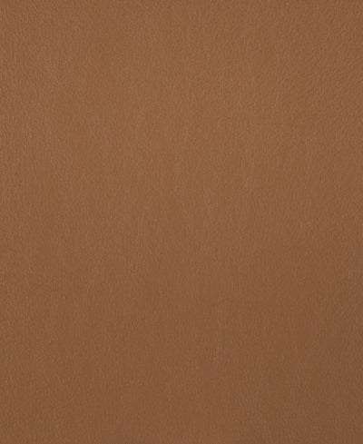 Lacar Napa - Hazelnut