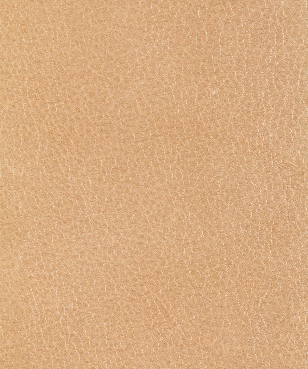 Nature - Desert