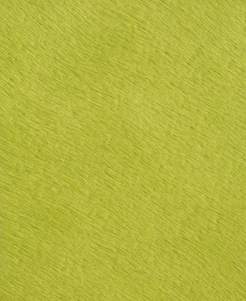 Poni - Chartreuse