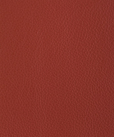 Lacar Bold - Begonia