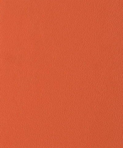 Lacar Napa - Begonia