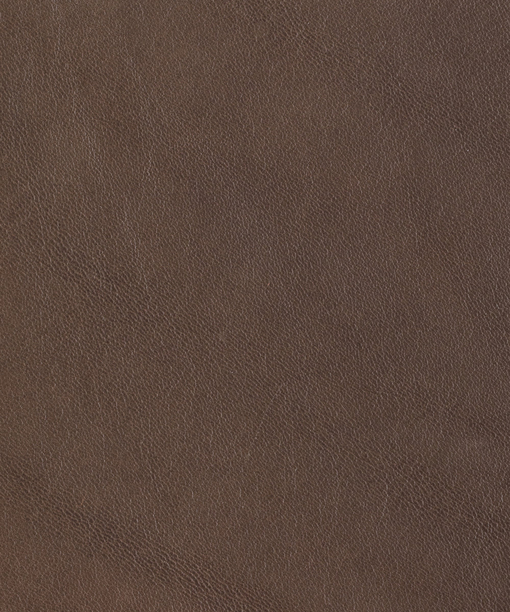 Seta - Seal Gray