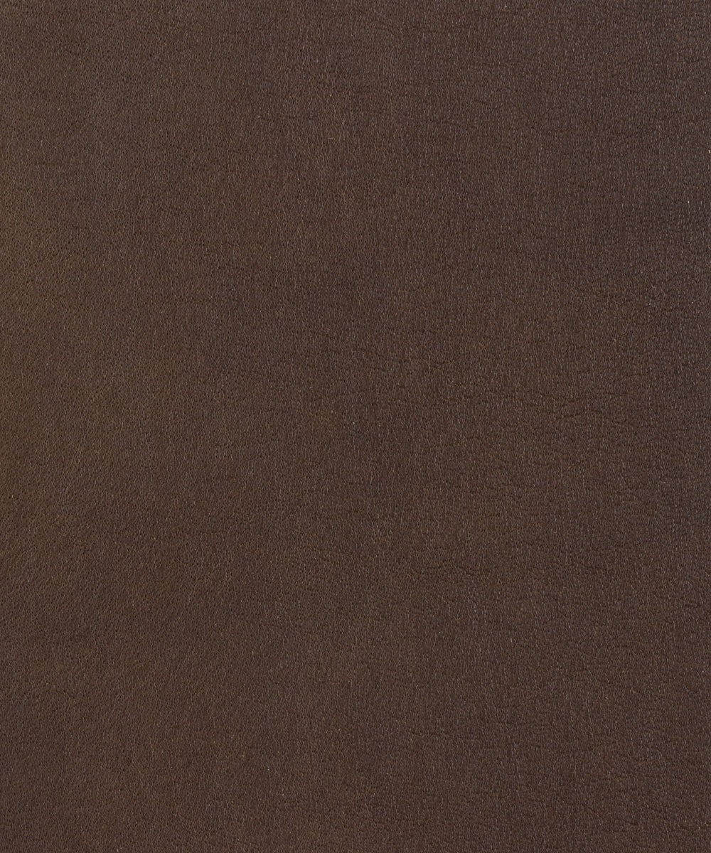 Seta - Sienna
