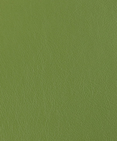 Lacar Napa - Cilantro