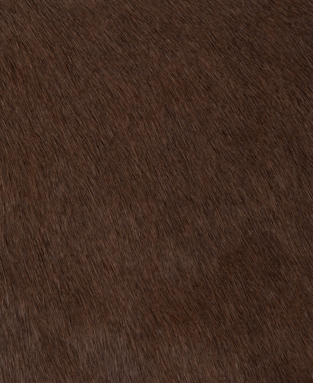 Poni - Navy Blue