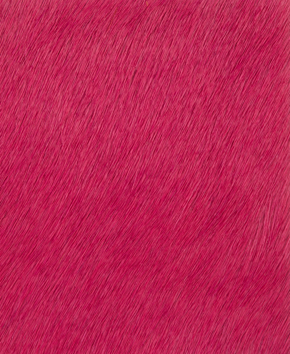 Poni - Violetto