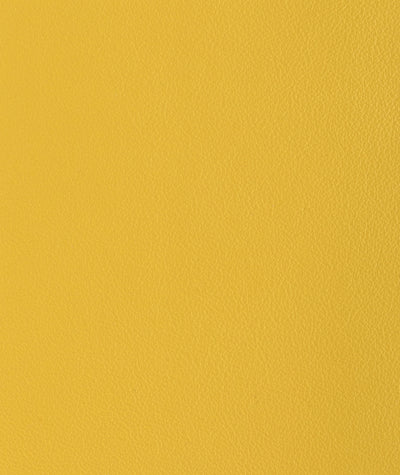 Lacar Napa - Moutarde