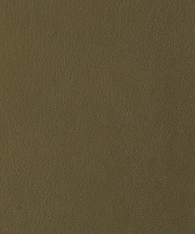 Lacar Napa - Verdant