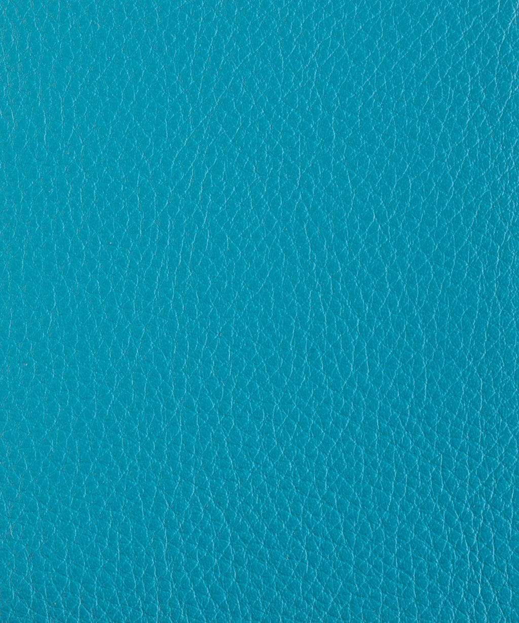 193_Dualoy_LacarBold_Turquoise