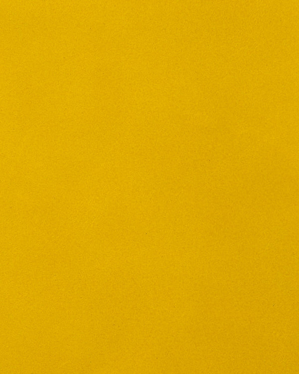 Hollander - Yellow