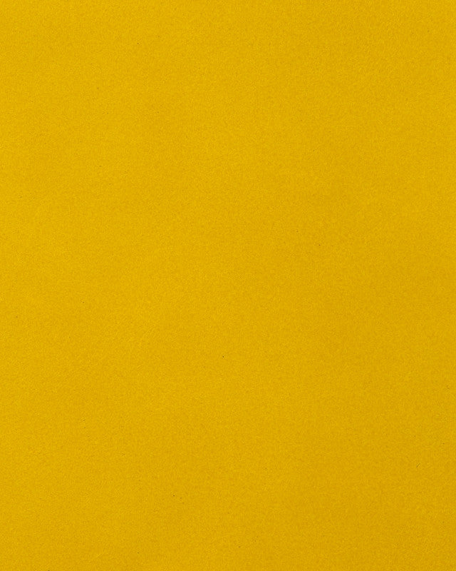 Hollander - Yellow