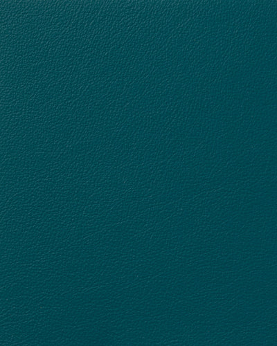 Lacar Napa - Mallard