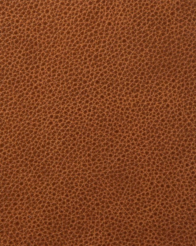 Tempe - Buckskin