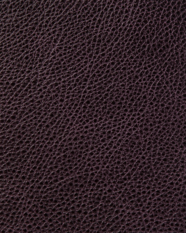 Tempe - Purple